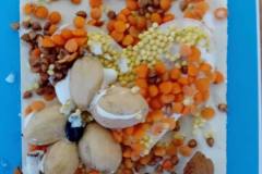 658937014_1570299778438969_7317502739362776170_n-1