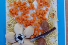 660074616_1570299915105622_7433055224504812143_n