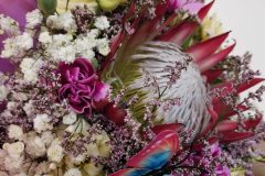 660826529_1572068261595454_3390344788335704145_n