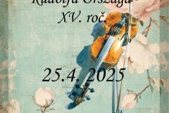 492934085_1260483566087260_4452205970374177110_n