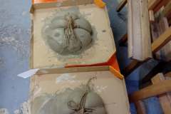 17142f26-bcde-40b3-81ac-0f1afc1d28aa