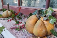 3068cf44-f6f6-4ac7-b5d9-22bc172b2679