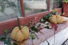 41378a10-7962-4834-bc81-5c6a732c9486