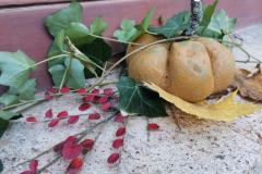 4b70d874-0a71-472a-a20e-11a6941f2863