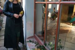 622ef7a8-e4c1-4ab4-8ee2-5ff14e0a2bc6