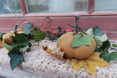 6e675a98-d13b-4f8c-bbe6-61c12f559981