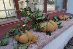 d0503e16-a050-4719-ba9c-275825d07ea5