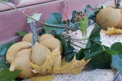 f7071420-280e-4625-b5bb-629eae0b58ce