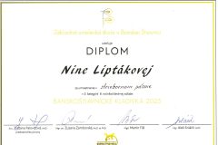 20250515154927_00001-1