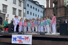 502728043_1290941096374840_5740046923924974911_n