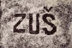 502949629_1292280592907557_1857273027712674943_n