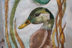 oroi