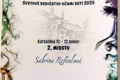 original_58c78b11-f342-4228-9a30-f9eddce6caba_IMG_20250624_102921