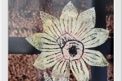 556850302_1406650684803880_8571175135329676706_n