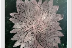 556856697_1406651131470502_8404888086150725125_n