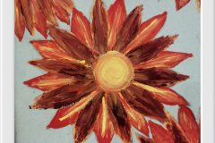 557118915_1406650788137203_8090083785317455457_n