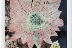 557337455_1406650631470552_3278307222852555532_n