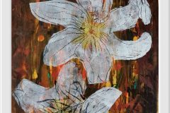 557495004_1406650598137222_7280334600786977739_n