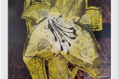 557710151_1406650508137231_4671688047443665814_n