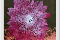 557829855_1406651378137144_8383321009528645533_n