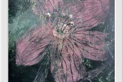 558032787_1406650888137193_5661486818652082862_n-1