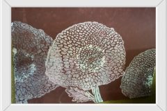 558149919_1406651304803818_2402270875999348875_n