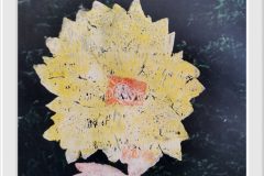 558149926_1406650978137184_6639916944522392126_n