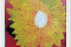 558462791_1406651264803822_1497049140769266047_n