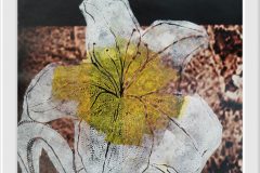 558982129_1406650534803895_6552251258599309605_n