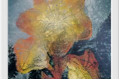 559105243_1406651058137176_8336863791989128830_n