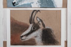 absolventi-VO-2024-39