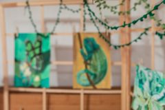 absolventi-VO-2024-52