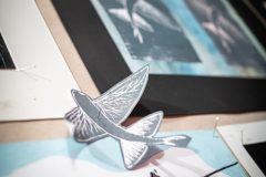 absolventi-VO-2024-56